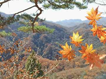 安國(guó)最新24小時(shí)天氣預(yù)報(bào)