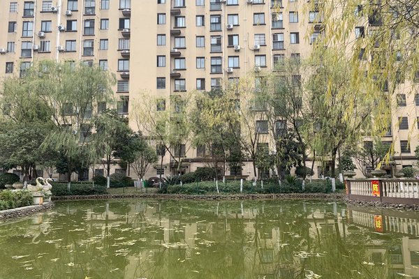 中豪明珠城最新價(jià)格，時(shí)代印記與城市的脈動(dòng)