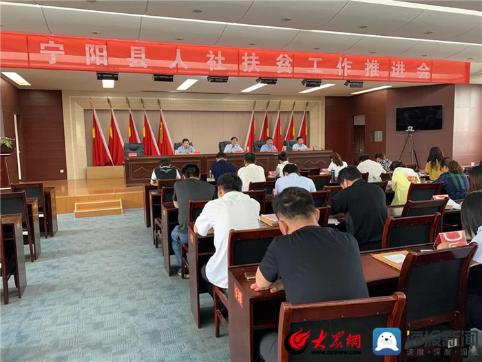 寧陽網(wǎng)最新資訊，城市中的溫情日常