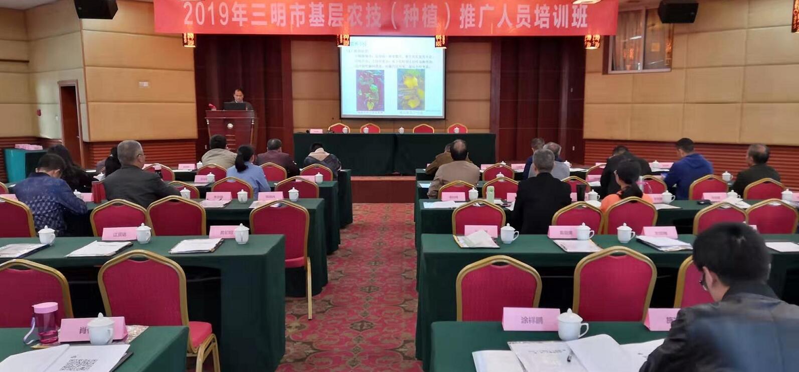 豇豆最新，廚房中的友情與家的溫馨