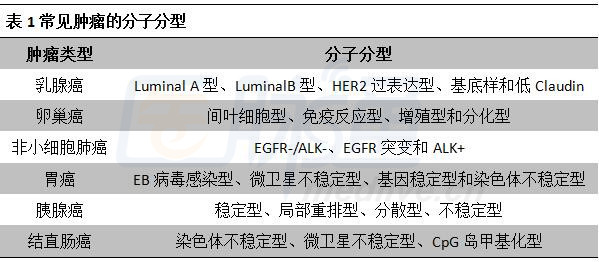 最新乳腺分類科技產(chǎn)品介紹，引領(lǐng)乳腺健康新篇章