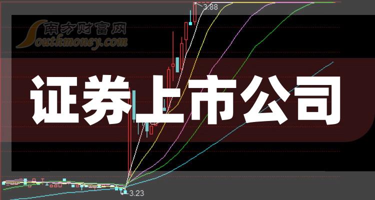 科技巨頭引領(lǐng)下的全新視界，股票上市公司概覽