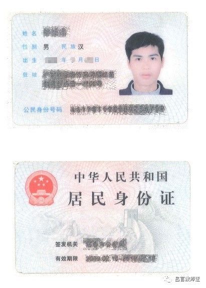最新證照，友情與陪伴的溫馨故事之旅