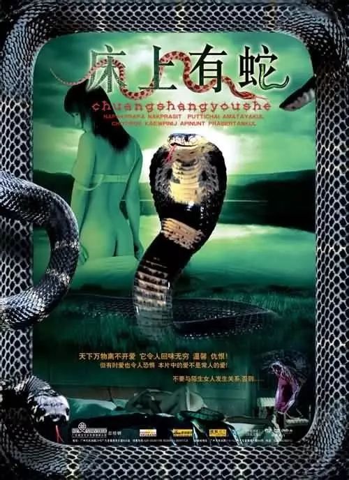 最新蛇片，蛻變的旅程，召喚自信與成就感的冒險(xiǎn)之旅