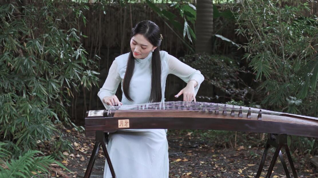 抖音最新琵琶演奏，古典與現(xiàn)代的完美融合之美