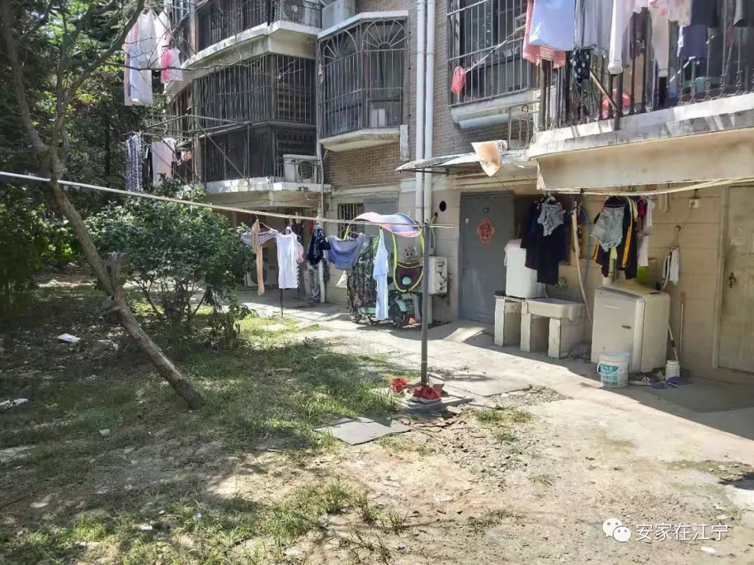 最新大雜亂時代，混沌與秩序的重建之路