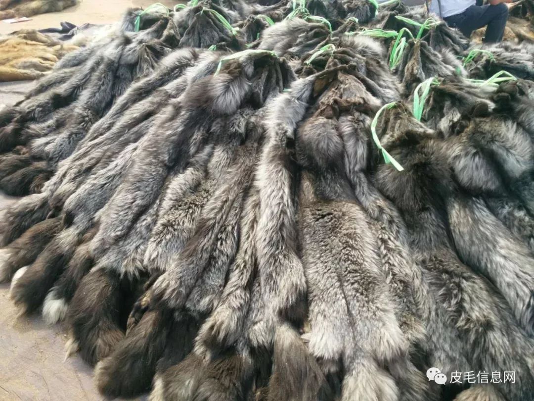 貉皮尚村最新價格，小巷中的時尚皮草寶藏探索