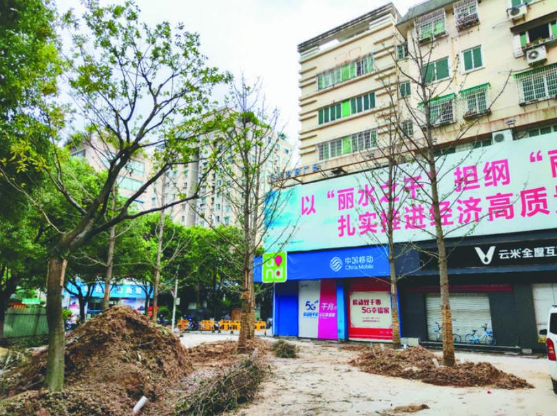 最新吊車網(wǎng)，自然美景之旅與內心平靜的探尋