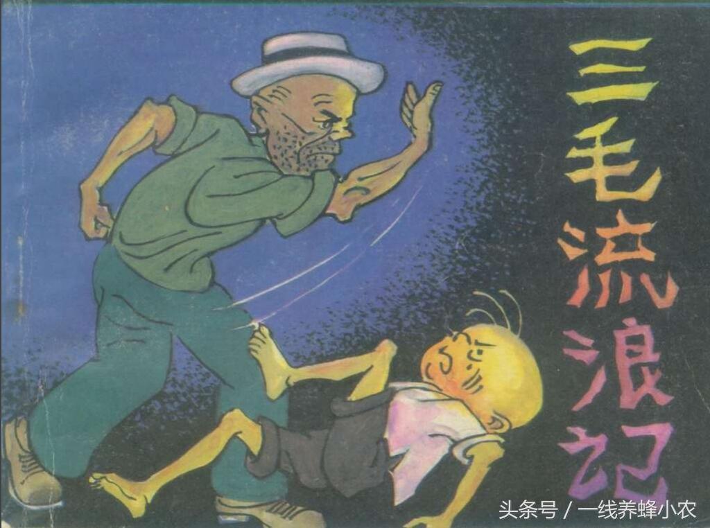 上海三毛最新動(dòng)態(tài)，自然美景探索之旅啟幕