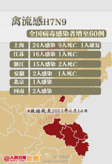 山東禽流感最新動(dòng)態(tài)，友情與陪伴的溫馨故事