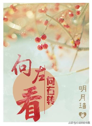 明月鐺最新小說，時(shí)代之光下的巨獻(xiàn)