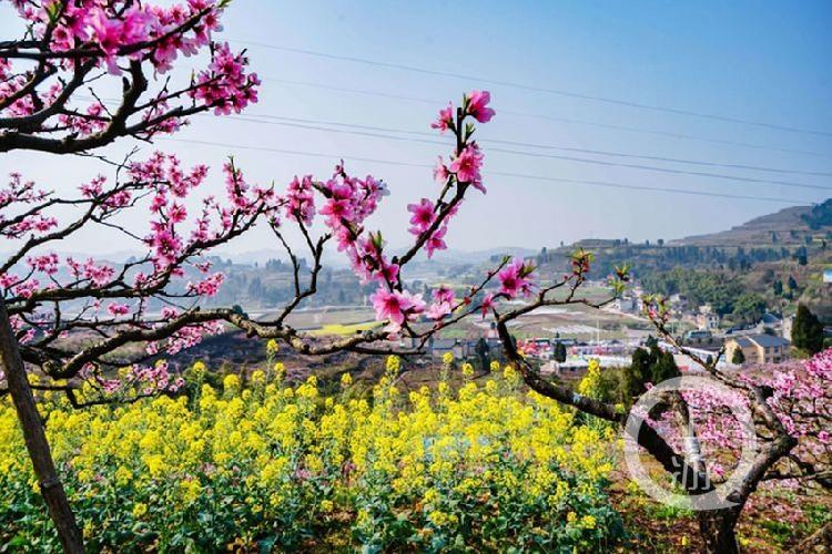 合川最新科技新聞，高科技產(chǎn)品引領(lǐng)未來生活潮流