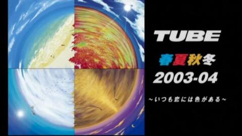 Tube03最新動態(tài)，探索要點、趨勢與發(fā)展
