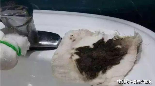 揭秘水污染真相，小杰的河流探索之旅——溫馨河流的秘密揭秘視頻