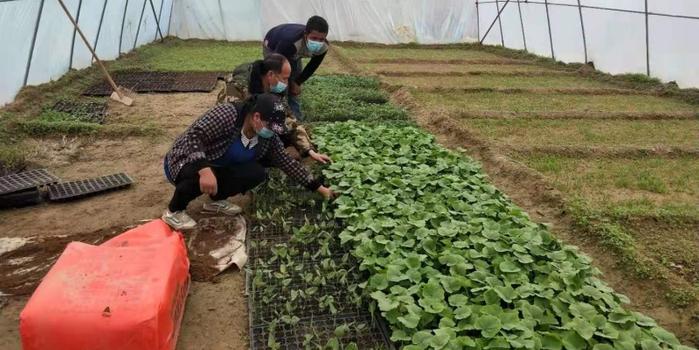 策勒最新招聘啟航人才新篇章，學(xué)習(xí)變化，擁抱自信與成就，啟程人生新征程！