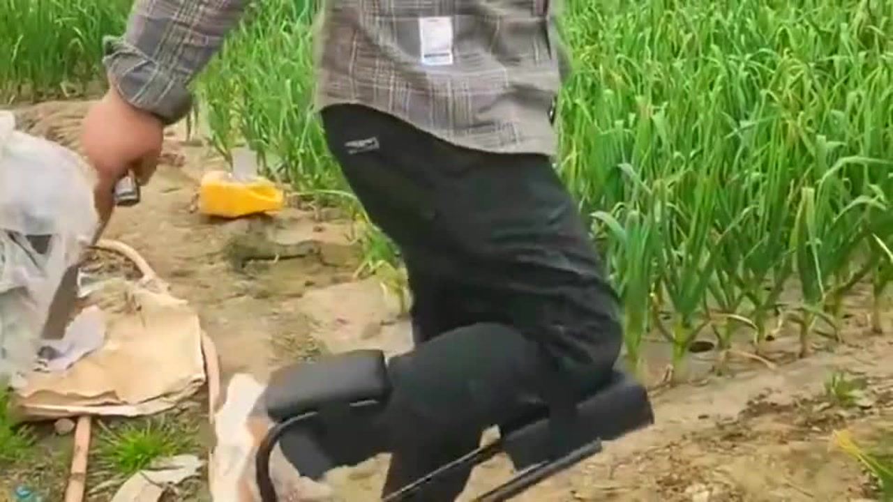 最新挖蒜工具，心靈與自然的完美交融