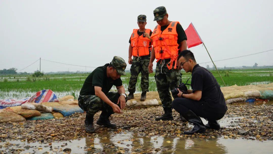 永修最新聞，背景探尋與時代地位的重要事件回顧