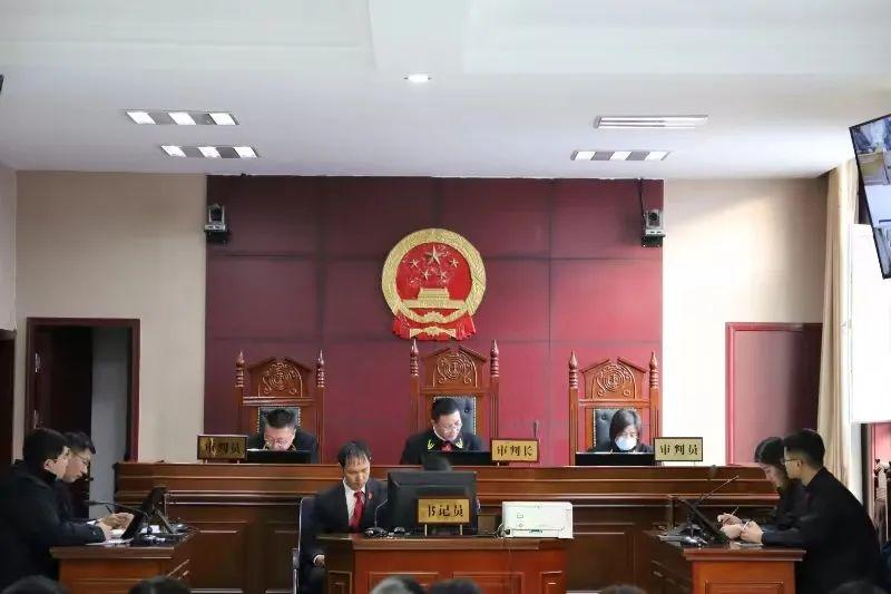 偏關(guān)最新案件深度解析，揭示真相，關(guān)注社會公正與公平