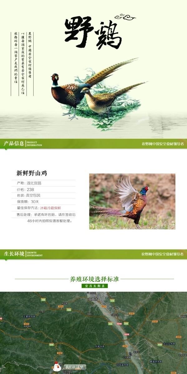 深度剖析，最新山雞的背景、事件與地位概述