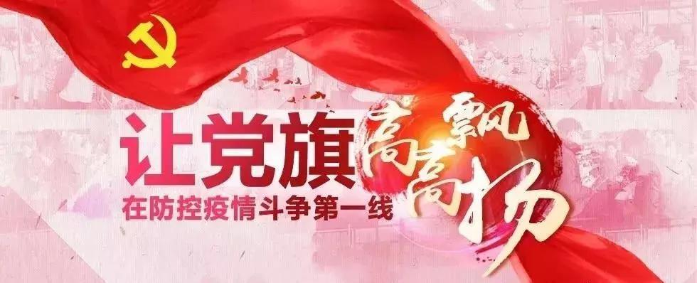 全球抗擊新冠疫情最新進展與案例分析，最新疫情快訊綜述