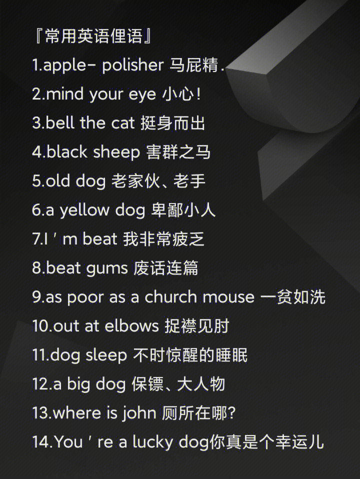 英文最新俚語(yǔ)揭秘，小巷秘密小店的潮流詞匯