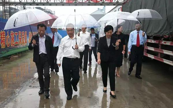 最新金丹科技引領(lǐng)科技新潮流，開啟未來之門！