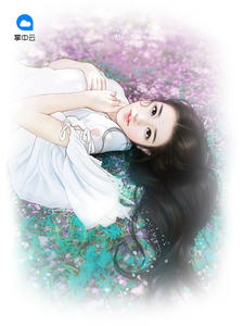 最新豪婿，小巷深處的獨(dú)特風(fēng)情