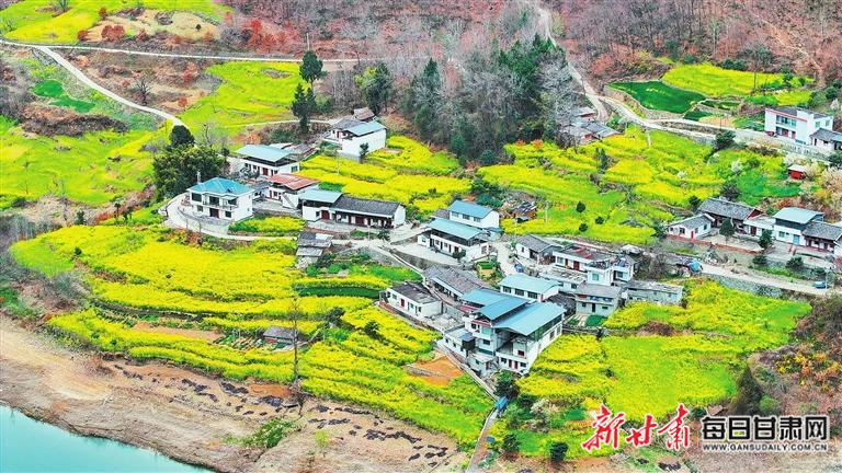 揭秘文縣，歷史背景、重大事件與時代地位全景展示