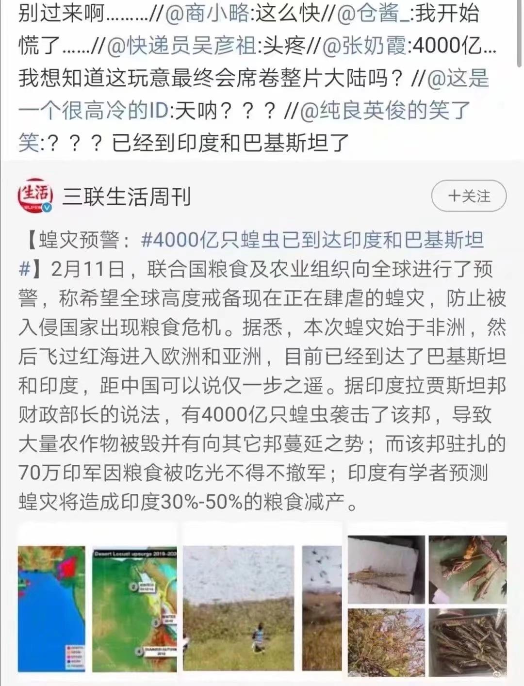 蝗蟲最新動態(tài)，防治與監(jiān)測的全面指南