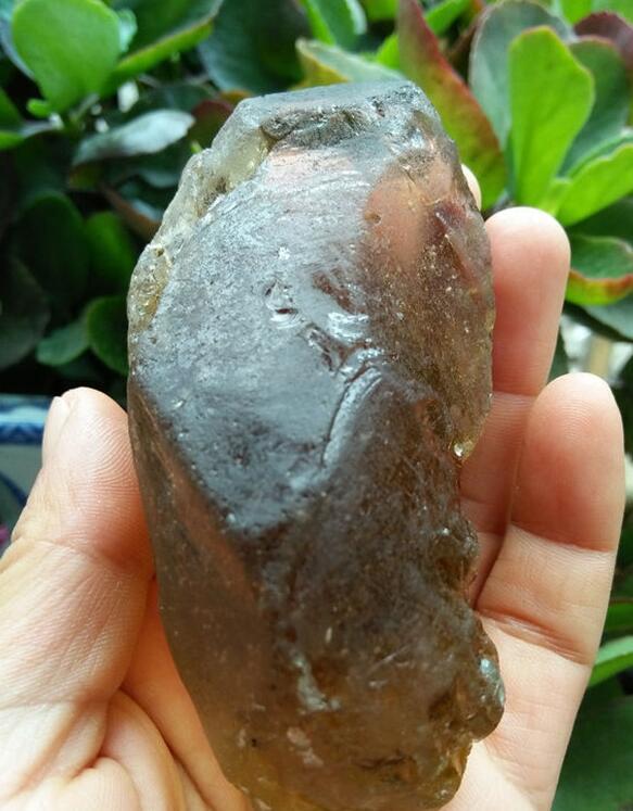 最新鑒定法，揭示友情的印記與家的溫馨