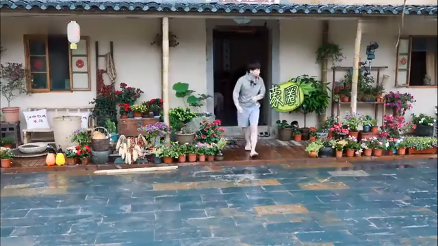 最新蘑菇屋，自然與生活完美融合的夢幻之地