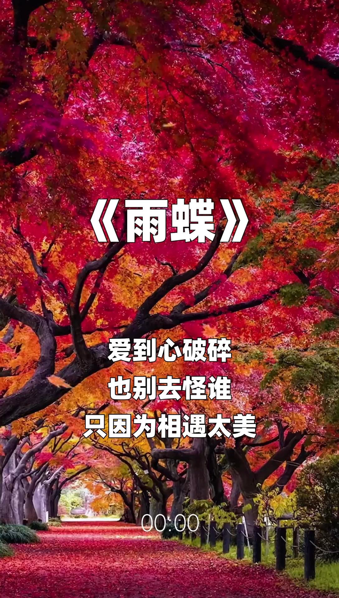 雨蝶最新步驟指南，如何完成任務(wù)或?qū)W習(xí)技能？