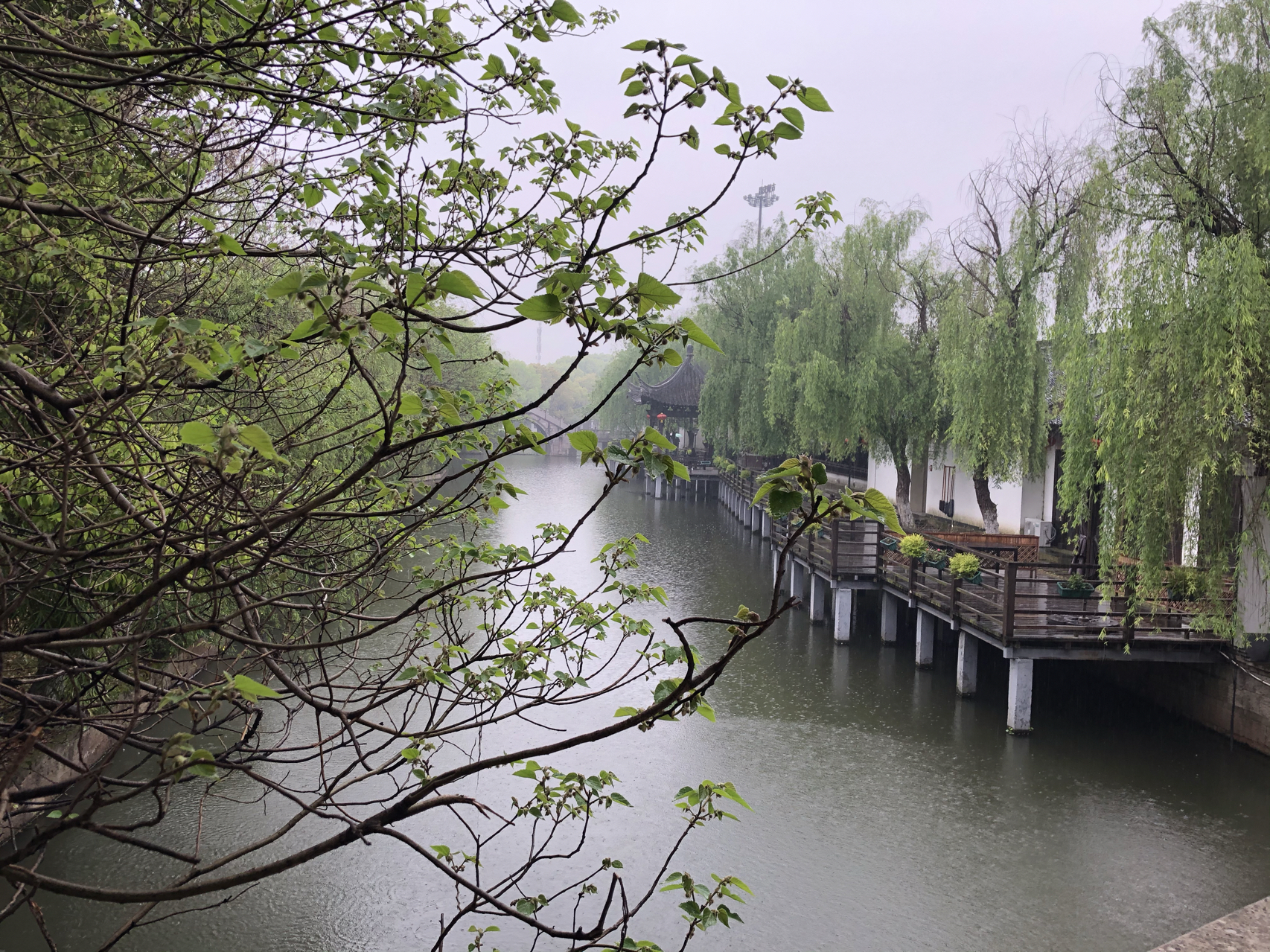 江南煙雨最新，自信與成就感的成長之旅
