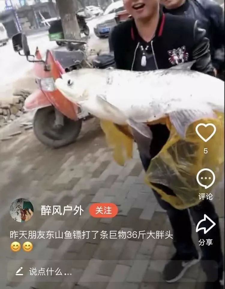 射魚(yú)神器進(jìn)化升級(jí)，學(xué)習(xí)變革與自信成就之源