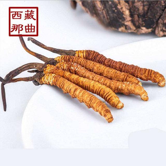 揭秘2025年蟲草最新價(jià)格，探尋小巷中的秘密行情！