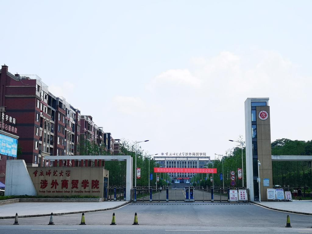最新本科專業(yè)探秘，小巷中的隱藏寶藏之門